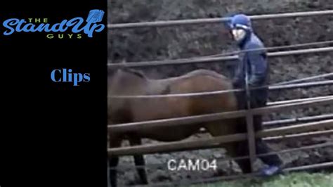 man fucks horse anal|Man fucking a horse anal sex .